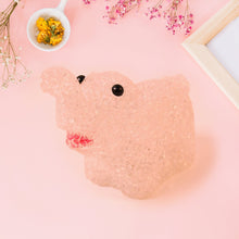 Room Mates LED Companion Lights